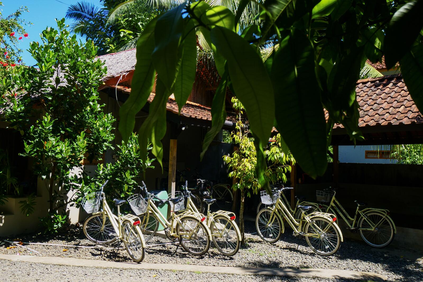 Bicycle