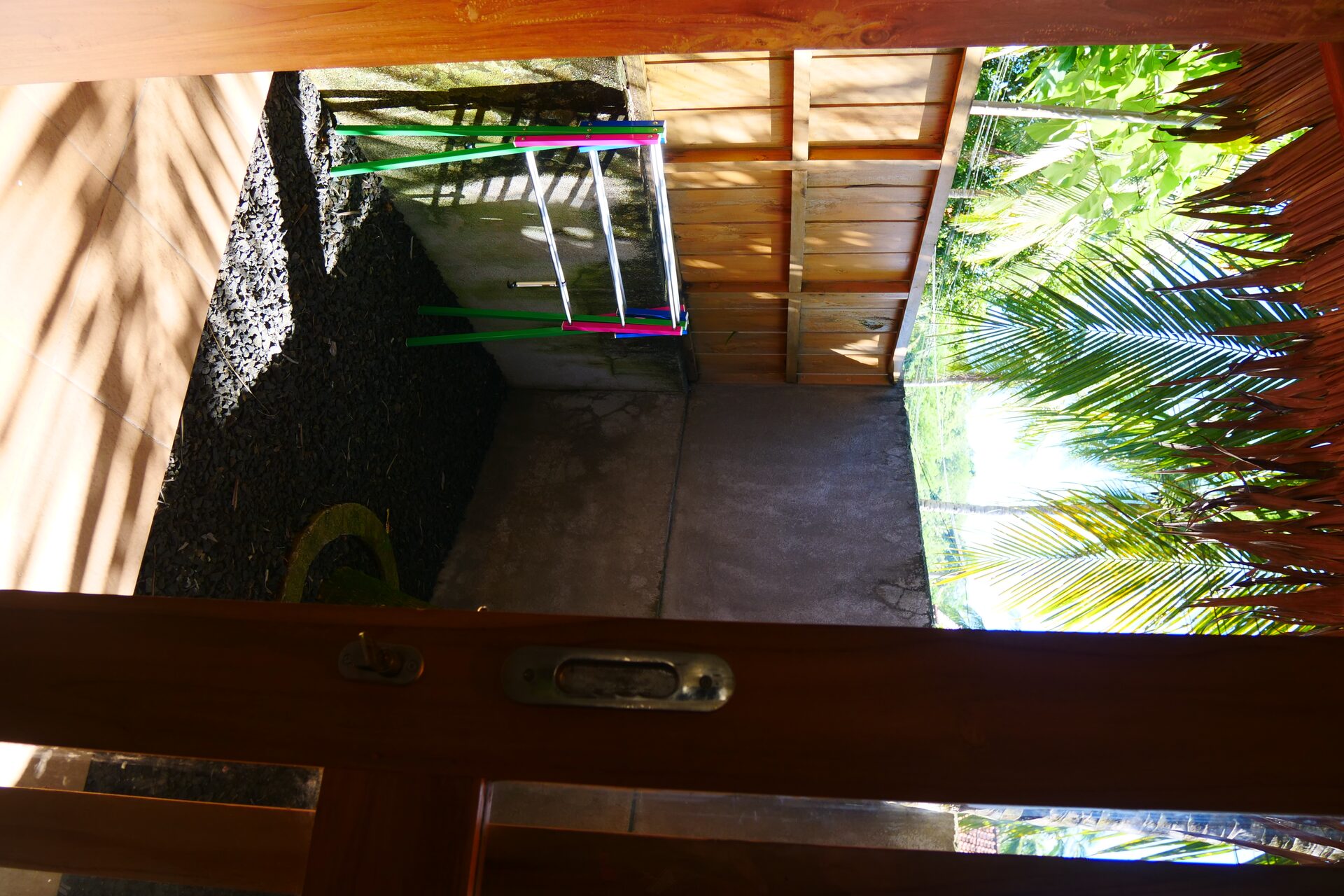 Backyard 7
